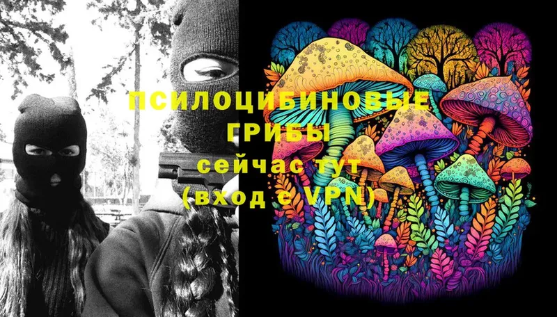 Псилоцибиновые грибы Cubensis  даркнет сайт  Малаховка 